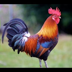 Meet your Posher, Andy